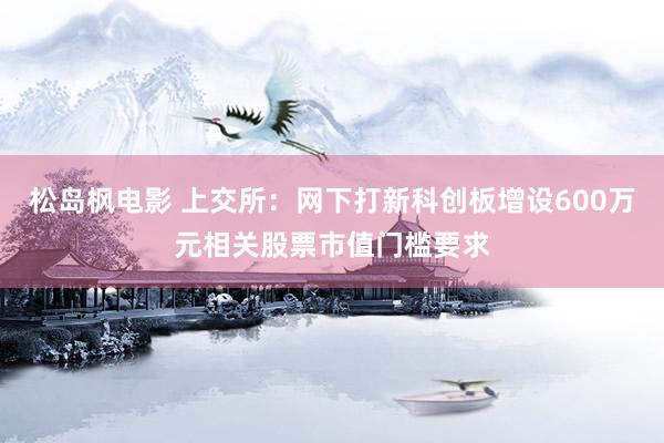 松岛枫电影 上交所：网下打新科创板增设600万元相关股票市值门槛要求
