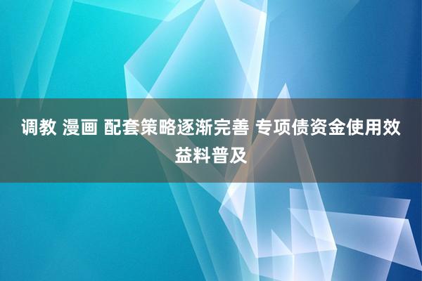 调教 漫画 配套策略逐渐完善 专项债资金使用效益料普及