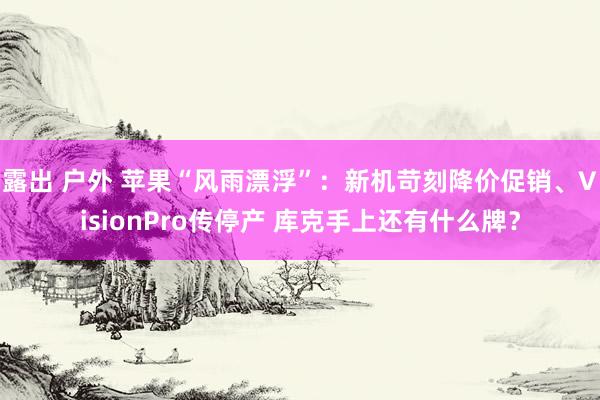 露出 户外 苹果“风雨漂浮”：新机苛刻降价促销、VisionPro传停产 库克手上还有什么牌？