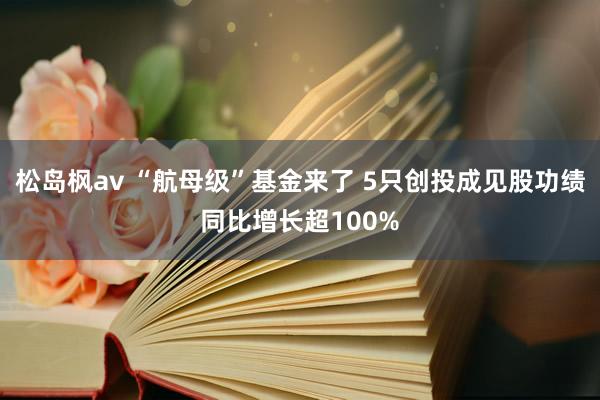 松岛枫av “航母级”基金来了 5只创投成见股功绩同比增长超100%
