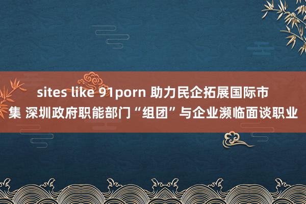 sites like 91porn 助力民企拓展国际市集 深圳政府职能部门“组团”与企业濒临面谈职业