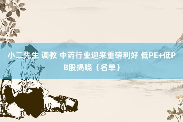 小二先生 调教 中药行业迎来重磅利好 低PE+低PB股揭晓（名单）