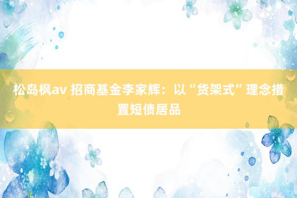 松岛枫av 招商基金李家辉：以“货架式”理念措置短债居品