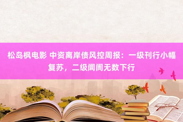 松岛枫电影 中资离岸债风控周报：一级刊行小幅复苏，二级阛阓无数下行